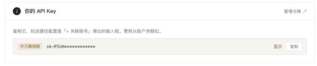 apibobo.com 开始使用页的 API Key 卡片，点复制即可